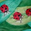 Watercolor pencil painting of ladybugs by Art with a Heart volunteer artist Lewis Weimer. 
For a 13 year old patient at Wolfson Children's Hospital.