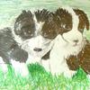 Puppy painting by Art with a Heart volunteer artist Aisling Millar. For a 9 year old girl at Wolfson Children's Hospital.