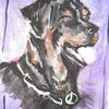 Painting of a patient's Rottweiler at Wolfson Children's Hospital by Art with a Heart artist Lori Guadagno.