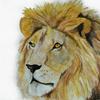 Painting of a Lion for a 14 year old girl at Wolfson Children's Hospital by Art with a Heart in Healthcare artist Josh Bergesen.
