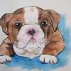 Painting for a patient at Wolfson Children's Hospital of their Bulldog puppy by Art with a Heart artist Lori Guadagno.