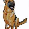 Painting of a German Shepard for a patient at Wolfson Children's Hospital by Art with a Heart Artist Josh Bergesen.