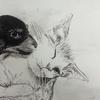 Charcoal drawing of a puppy and cat for a patient at Wolfson Children's Hospital by Art with a Heart Volunteer Artist Meredith Vermillion.