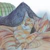 Colored pencil drawing of a patient's cats at Wolfson Children's Hospital by Art with a Heart Volunteer Artist Meredith Vermillion.