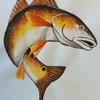 Painting of a Red Fish for a patient at Wolfson Children's Hospital by Art with a Heart artist Josh Bergesen.