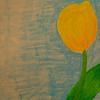 Painting of a Tulip for a patient at Wolfson Children's Hospital by Art with a Heart volunteer artist Hannah Mendelson.