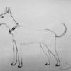 Great Dane drawn by a patient at Wolfson Children's Hospital.